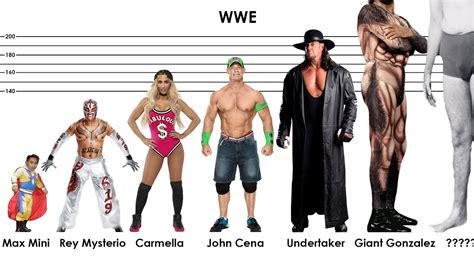 average wwe height|wwe height comparison.